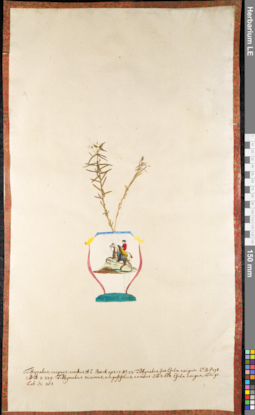 LE 01091545