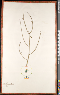 LE 01091564