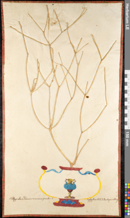 LE 01091567