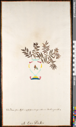 LE 01091579