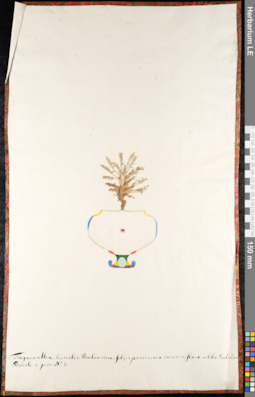 LE 01091585