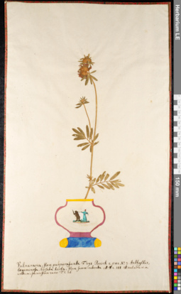 LE 01091589