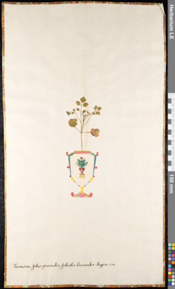 LE 01091620