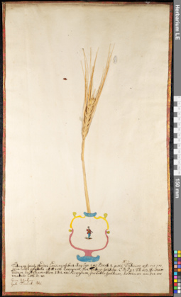 LE 01091629