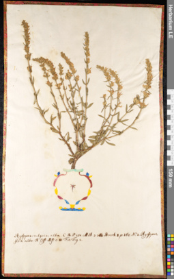 LE 01091631