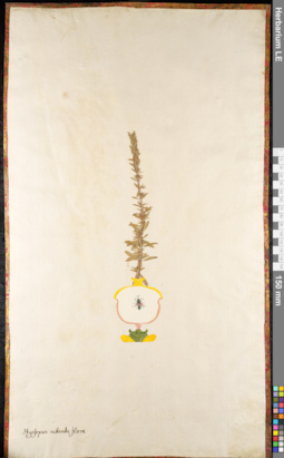 LE 01091634