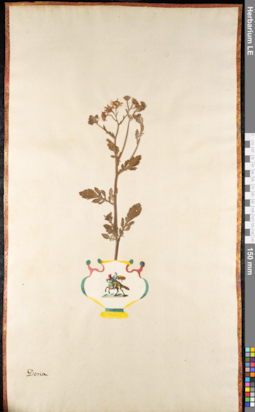 LE 01091639