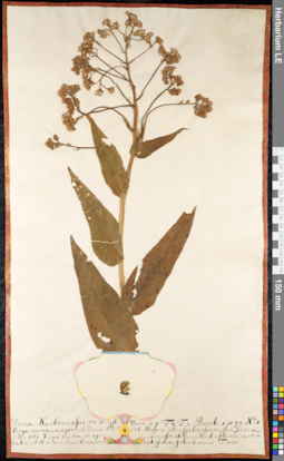 LE 01091641