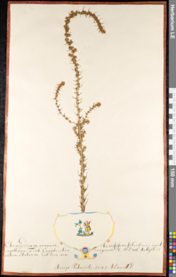 LE 01091688