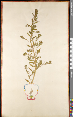 LE 01091689