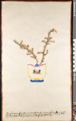 LE 01091693