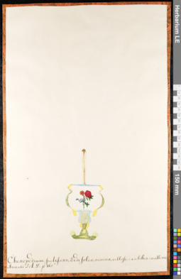 LE 01091697