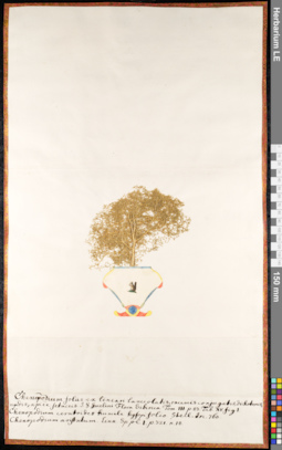 LE 01091698