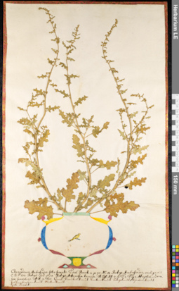 LE 01091701