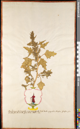 LE 01091703