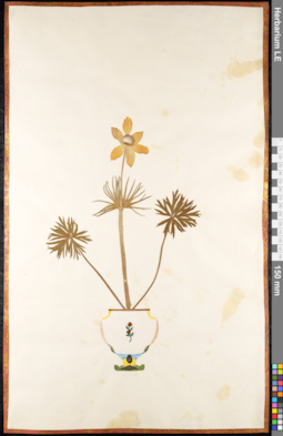 LE 01091707