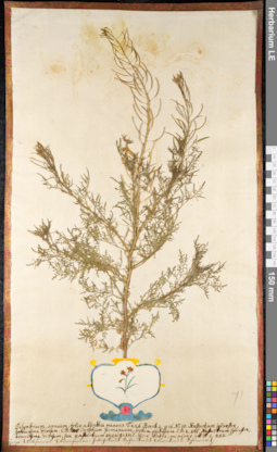 LE 01091709