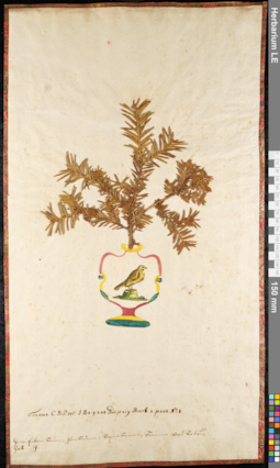 LE 01091747