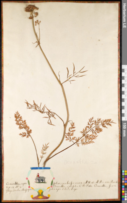 LE 01091751