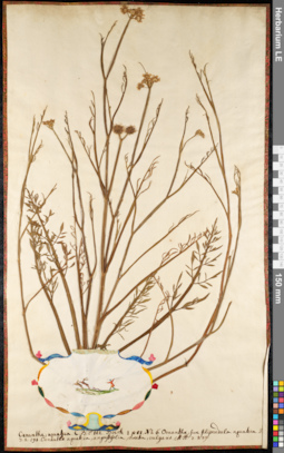 LE 01091753