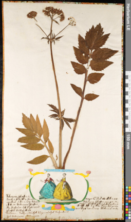 LE 01091761