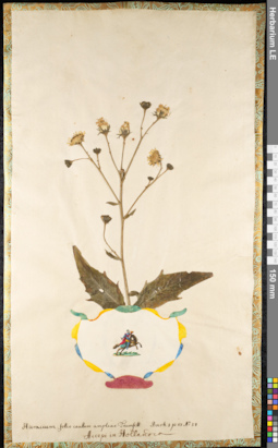 LE 01091773