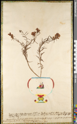 LE 01091792