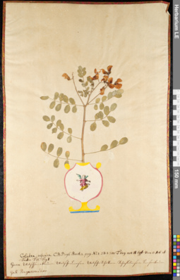 LE 01091797