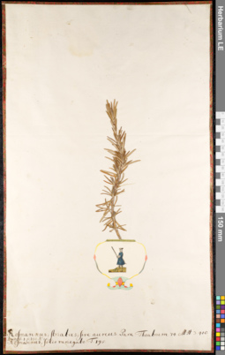 LE 01091799