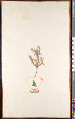 LE 01091801