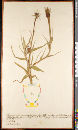 LE 01091805