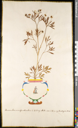 LE 01091859