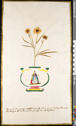 LE 01091861