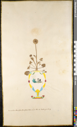 LE 01091863
