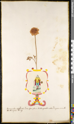 LE 01091864