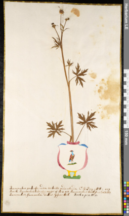 LE 01091867