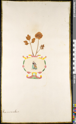 LE 01091872