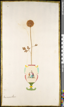 LE 01091873