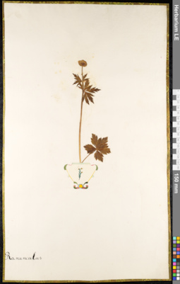 LE 01091874