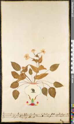LE 01091875