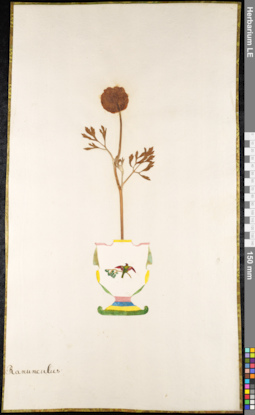 LE 01091880