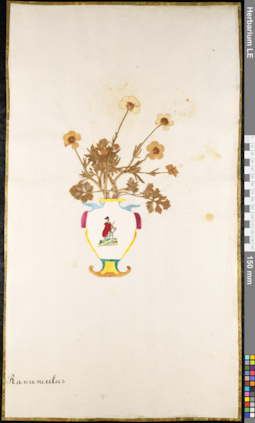 LE 01091883