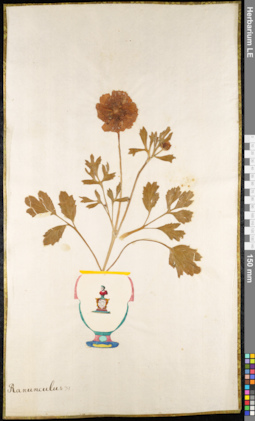 LE 01091885