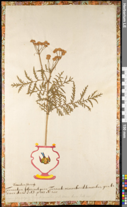 LE 01091898