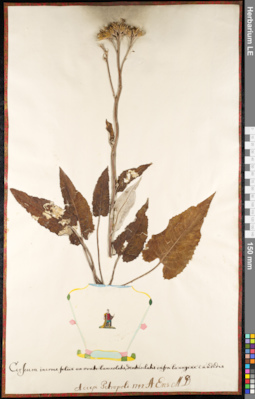 LE 01091902