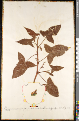 LE 01091910