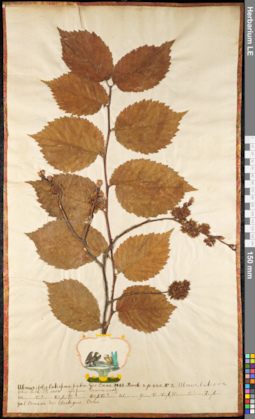 LE 01091922