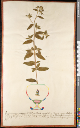LE 01091934
