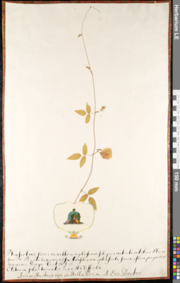 LE 01091942