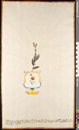 LE 01091952